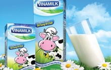 Bộ Tài chính nói gì về việc chào bán không thành công hơn 52 triệu cổ phiếu Vinamilk?