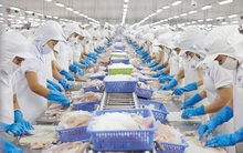 Red River Holding và Temasia đã bán 4,6 triệu cổ phiếu VHC với mức giá 45.000đ/cp?