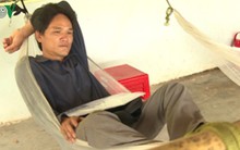 “Cò lúa” quỵt tiền, nông dân Hậu Giang điêu đứng