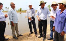 ​Đề nghị công bố thiên tai trên tôm ở Cà Mau