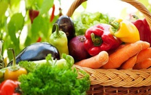 Giao dịch cổ phiếu NAF, nguyên Trưởng BKS của Nafoods bị phạt 35 triệu đồng