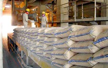 Xuất khẩu xi măng tăng