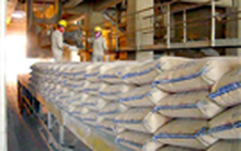 Giá xi măng ổn định trong tháng 11