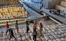 Philippines dự kiến nhập 250.000 tấn gạo trong quý 3