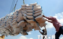 Trung Quốc bắt đầu nhập khẩu gạo của Lào từ tháng Một