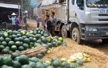 Làm ăn với Trung Quốc, những ngành sau dễ gặp rủi ro