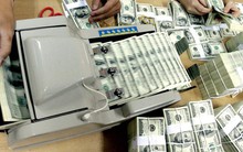 Mua thêm lượng lớn ngoại tệ, tỷ giá USD/VND hướng đến một năm khác biệt