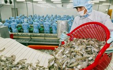 Tháng 7/2017, xuất khẩu nông lâm thuỷ sản cán mốc 3 tỷ USD