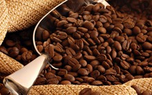 Nhóm nông sản xuất khẩu chủ chốt của VN đồng loạt trượt giá trên thị trường thế giới