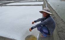 Mưa kéo dài, diêm dân trắng tay