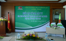 An Phát - Yên Bái (HII) đặt kế hoạch tăng trưởng EPS 30%, cổ tức duy trì 20-30% mỗi năm