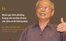 GS. Võ Đại Lược: Xây dựng đặc khu kinh tế, muốn gọi chim phượng hoàng mà làm tổ như chim sẻ thì không được!