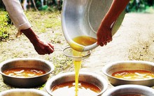 Xử lý mật ong không rõ nguồn gốc vùng U Minh Hạ