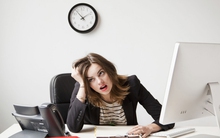 Đừng ôm mộng tìm kiếm công việc mơ ước nữa vì bạn sẽ đều phải trải qua 4 giai đoạn này mà thôi