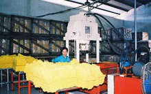 Giá cao su bật tăng, người trồng và doanh nghiệp phấn khích