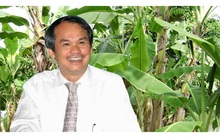 Bầu Đức khẳng định không có chuyện mời ông Lý Xuân Hải về làm Phó chủ tịch HAGL