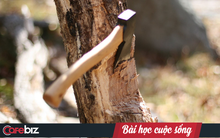 Chuyện vác rìu lên núi chặt cây và bài học về sự kiên trì: Ai cũng cần biết nếu muốn thành công trong cuộc sống