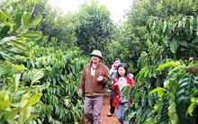 Mô hình đa canh độc đáo thu nhập tiền tỷ mỗi năm