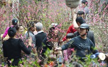 Chốt phương án lịch nghỉ 2 ngày trước Tết Mậu Tuất 2018