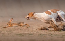 Nhiều nhà đầu tư đang "săn" cổ phiếu có thể nắm giữ dài hạn, vì sao họ làm thế và làm thể nào để chọn?