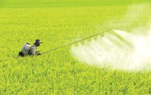 Cuộc chiến thị phần: Lộc Trời và VFG làm sao chống chọi với cơn bão hàng nhập khẩu từ Trung Quốc?