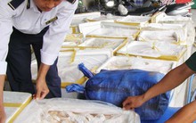 ‘Sau khi đi giám sát, tôi không dám ăn thịt’