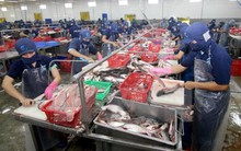 Mở rộng cấp chứng thư điện tử cho lô hàng thủy sản xuất khẩu