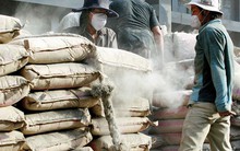 Xi măng ổn định giá bán