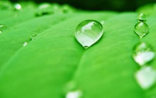 VIC và VNM giúp VN-Index bảo toàn mốc 860 điểm, KSA giảm sàn sau thông tin về trụ sở bỏ hoang