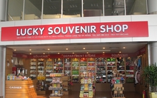 Lần đầu công bố báo cáo tài chính, Dịch vụ Hàng không Taseco báo lãi 9 tháng gấp hơn 4 lần cùng kỳ