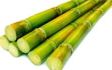 Sau quyết định mua HAGL Sugar, Đường Biên Hòa dự kiến phát hành gần 640 tỷ đồng trái phiếu không chuyển đổi