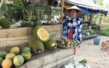 Sốt mít Thái 'siêu sớm', giá cao gấp gần 10 lần bình thường