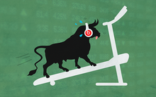 CHUYỆN ANH MUA: Anh Mua quay lại thị trường chứng khoán