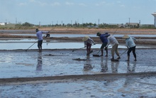 Bến Tre tồn 64.000 tấn muối, diêm dân đang 'méo mặt'