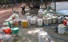 Giá mủ giảm đột ngột, nhà vườn và doanh nghiệp đều choáng