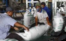 Xuất khẩu gạo: Tìm cơ hội trong khó khăn