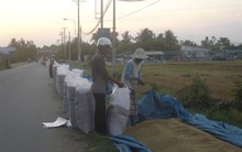 Thị trường gạo 2018 sẽ sôi động hơn