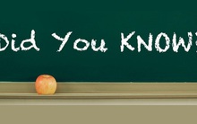 Bốn sự thật bất ngờ về thị trường có khả năng sinh lợi khổng lồ, chiếm 68% tổng dân số Việt Nam