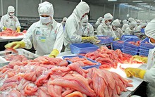 Thủy sản số 4 (TS4) lấy ý kiến cổ đông để hủy niêm yết cổ phiếu