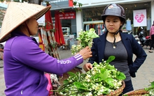 “Hốt bạc” nhờ bán hoa bưởi