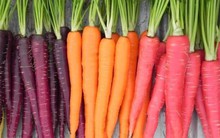 Cà rốt tím - siêu thực phẩm với sức khỏe