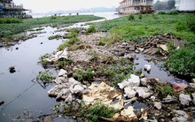 Hồ Tây ngập rác thải sau di dời nhà nổi