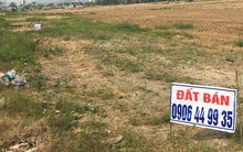 Sốt đất Đà Nẵng: Tăng giá kỷ lục, mất trắng chục tỷ