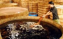 Thông tin 'nước mắm nhiễm asen': Phạt Vinastas 15 triệu đồng