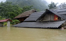 Mưa lũ ngập đến tận nóc nhà