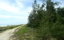 Đất ven biển Tam Thanh: Sốt thật hay sốt ảo?