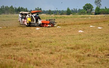 Doanh nhân hóa nông dân đồng bằng sông Cửu Long