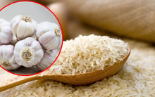Bỏ vài tép tỏi vào thùng gạo, tưởng chừng vô nghĩa nhưng hiệu quả bất ngờ