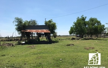 TP.HCM báo cáo Thủ tướng nguyên nhân dự án công viên Safari 500 triệu USD chậm đầu tư