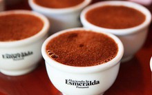 Có gì trong ly cà phê tuyệt phẩm đắt nhất thế giới với giá 1,4 triệu đồng?